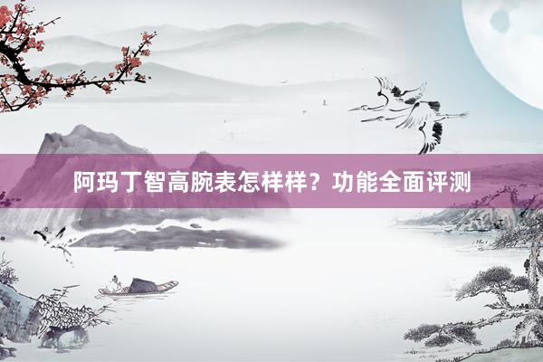 阿玛丁智高腕表怎样样？功能全面评测